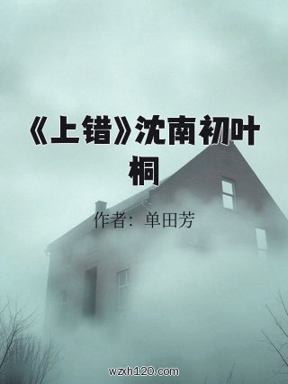 《上错》沈南初叶桐