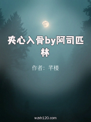 夹心入骨by阿司匹林