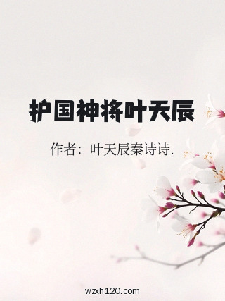 护国神将叶天辰