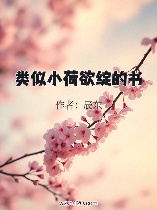 类似小荷欲绽的书