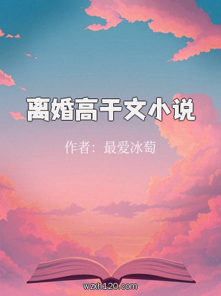 离婚高干文小说