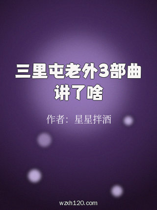 三里屯老外3部曲讲了啥