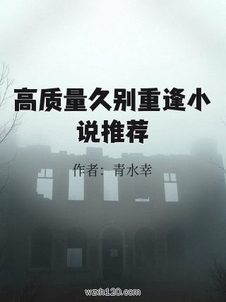 高质量久别重逢小说推荐