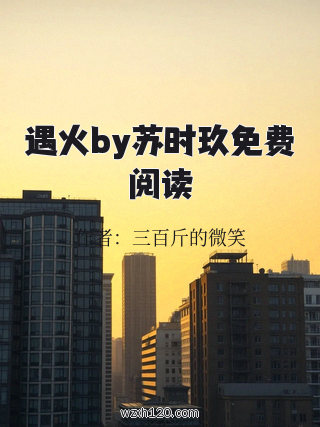 遇火by苏时玖免费阅读