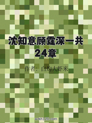 沈知意顾霆深一共24章