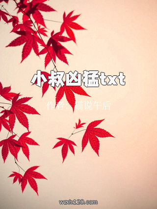 小叔凶猛txt