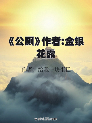 《公厕》作者:金银花露