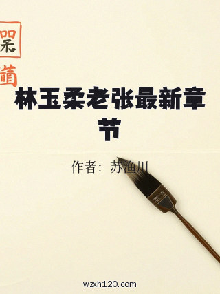 林玉柔老张最新章节