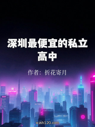 深圳最便宜的私立高中