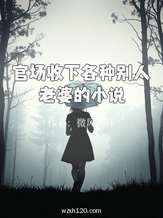 官场收下各种别人老婆的小说