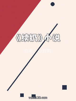 《续奶》小说