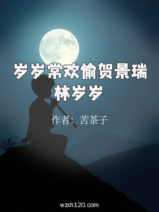 岁岁常欢愉贺景瑞林岁岁