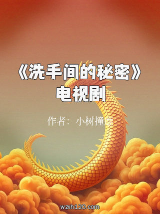 《洗手间的秘密》电视剧