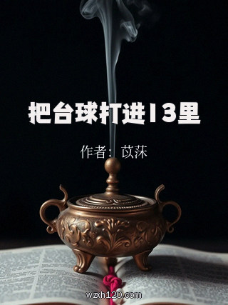 把台球打进13里
