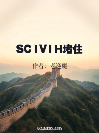 SC1V1H堵住