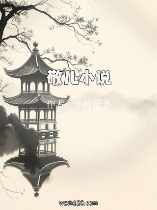 敬儿小说