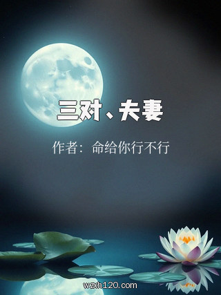 三对、夫妻