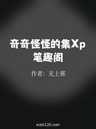 奇奇怪怪的集Xp笔趣阁
