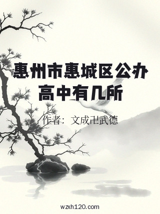 惠州市惠城区公办高中有几所