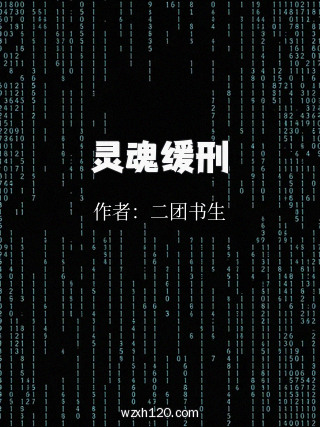灵魂缓刑