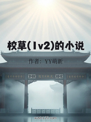 校草(1v2)的小说