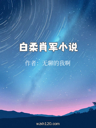 白柔肖军小说