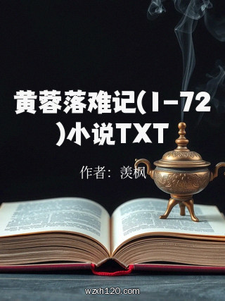 黄蓉落难记(1-72)小说TXT