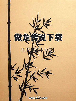 傲龙传说下载