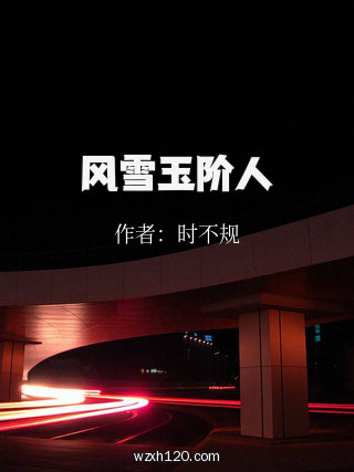 风雪玉阶人
