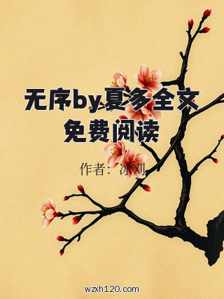 无序by夏多全文免费阅读