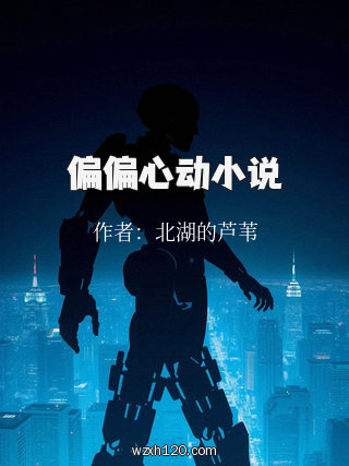 偏偏心动小说