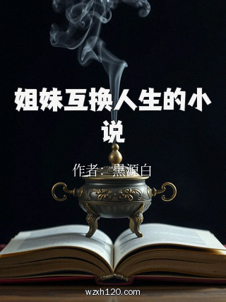姐妹互换人生的小说