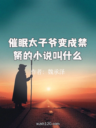 催眠太子爷变成禁胬的小说叫什么