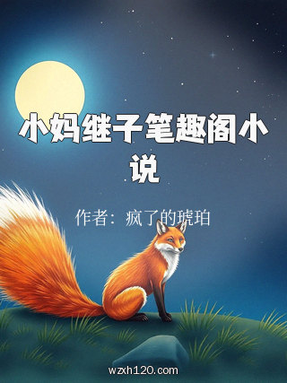 小妈继子笔趣阁小说