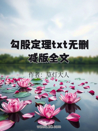 勾股定理txt无删减版全文