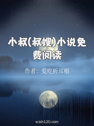 小叔(叔嫂)小说免费阅读