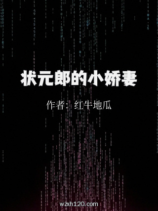 状元郎的小娇妻