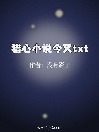 猎心小说今又txt