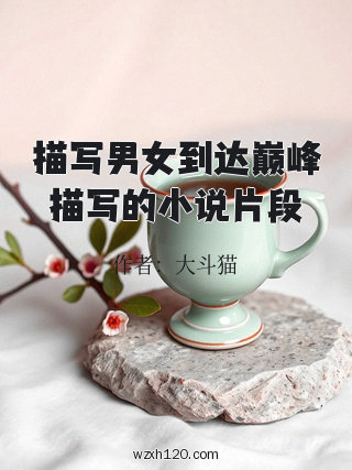 描写男女到达巅峰描写的小说片段
