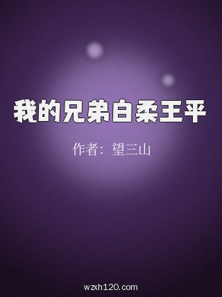 我的兄弟白柔王平