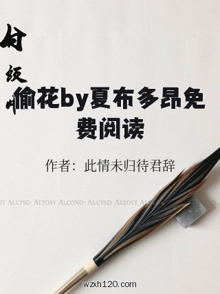 偷花by夏布多昂免费阅读