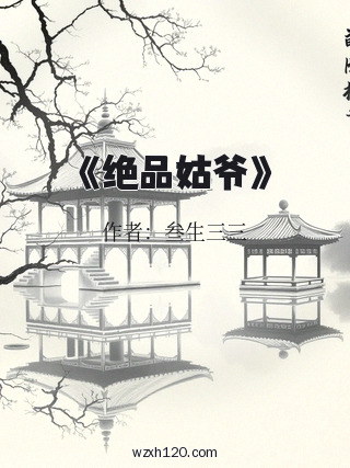 《绝品姑爷》