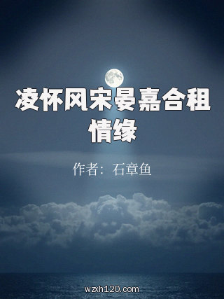 凌怀风宋晏嘉合租情缘