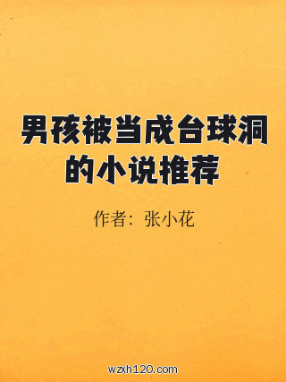 男孩被当成台球洞的小说推荐