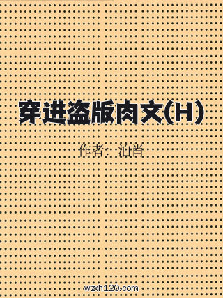 穿进盗版肉文(H)