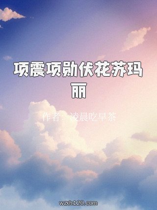 项震项勋伏花苏玛丽