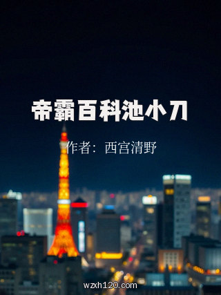 帝霸百科池小刀