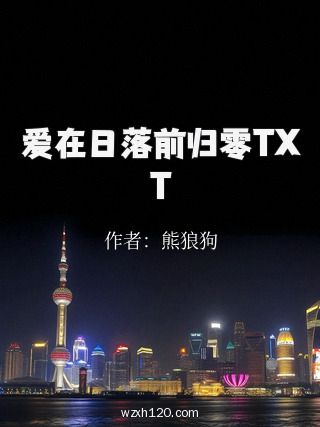 爱在日落前归零TXT