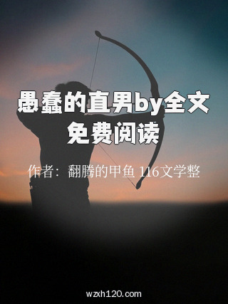 愚蠢的直男by全文免费阅读