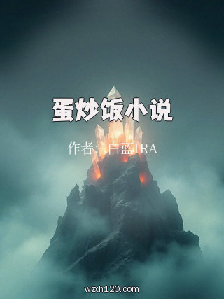 蛋炒饭小说